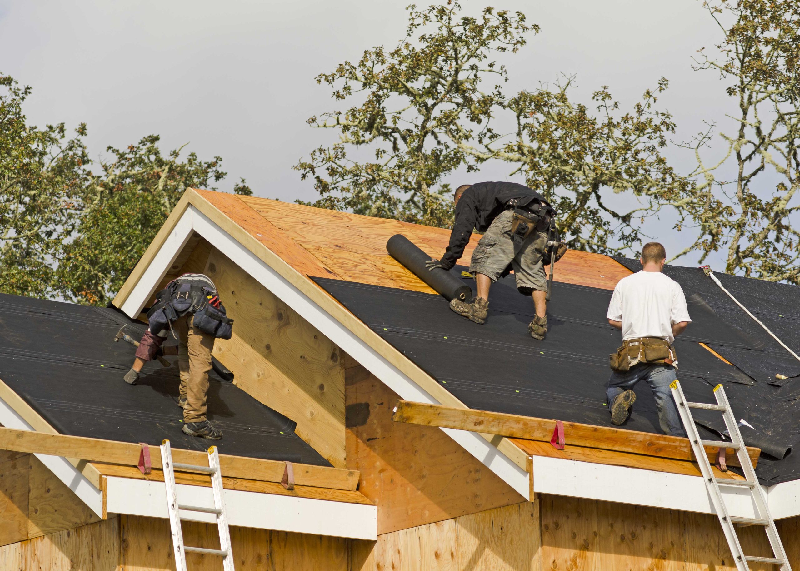 Professional roofers in Tacoma